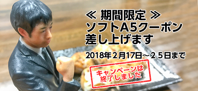 緊急期間限定!ソフトA5クーポン差し上げます