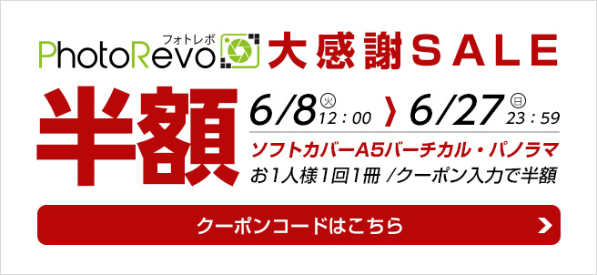 大感謝SALEソフトA5V・A5P半額